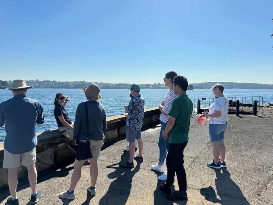 1/2 day Sydney Sightseeing and Bondi Beach Tour - Mini-bus hop between icons: short stops, big views