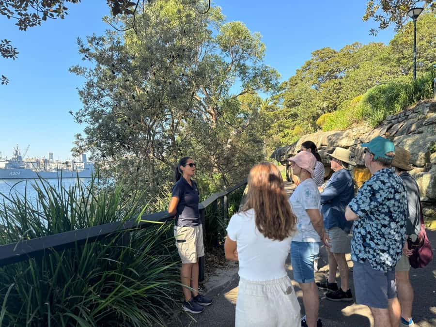 1/2 day Sydney Sightseeing and Bondi Beach Tour - Centennial Park and Paddington: a change of pace from the harbour