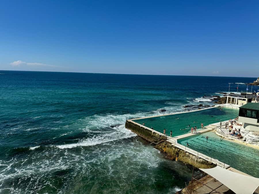 1/2 day Sydney Sightseeing and Bondi Beach Tour - The pacing and group size: small group, but not slow