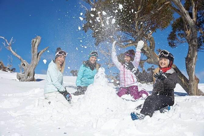 1 Day Thredbo Snow Tour From Sydney - Lifts, lessons, and the real cost of skiing