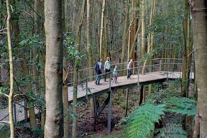 3 Day Private Tour in Blue Mountains and Kiama in Sydney City - How to keep spending under control without missing the magic