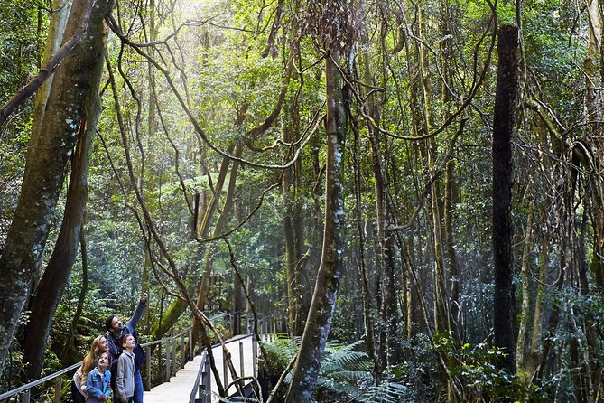 3 Day Private Tour in Blue Mountains and Kiama in Sydney City - Sydney Harbour, Bondi, and the botanic garden viewpoints (Day 1)