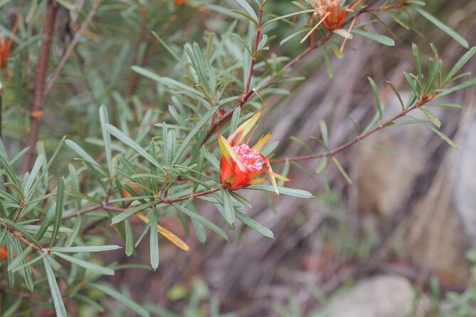 3 Day Scenic Tour of Blue Mountains from Sydney - The Katoomba hotel and what is actually covered