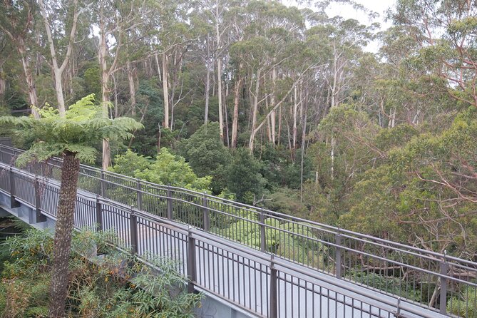 3 Day Scenic Tour of Blue Mountains from Sydney - Who this 3-day Blue Mountains tour is best for