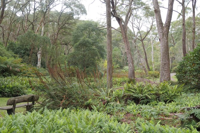 3 Day Scenic Tour of Blue Mountains from Sydney - Potential downsides to plan around