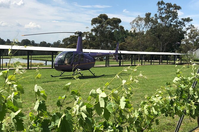 3 Hour Helicopter Wine Tasting Tour in Hunter Valley - Key highlights to know before you go