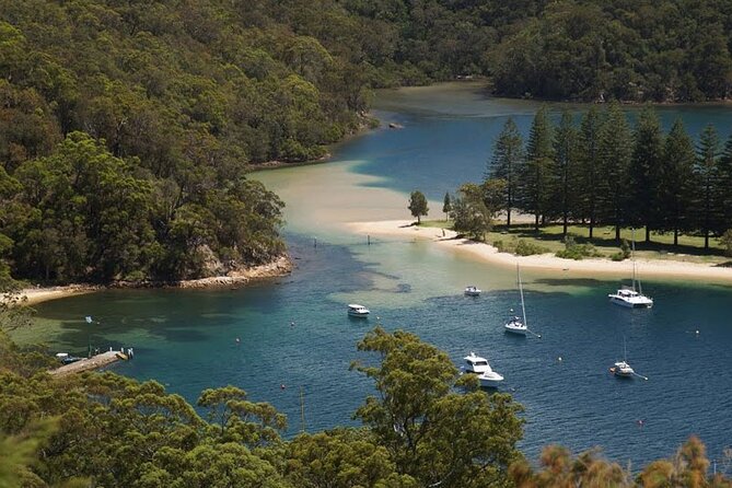 3-Hour Private Skippered Sailing Yacht Charter in Palm Beach - Broken Bay and West Head: when the sea gets a bit more real