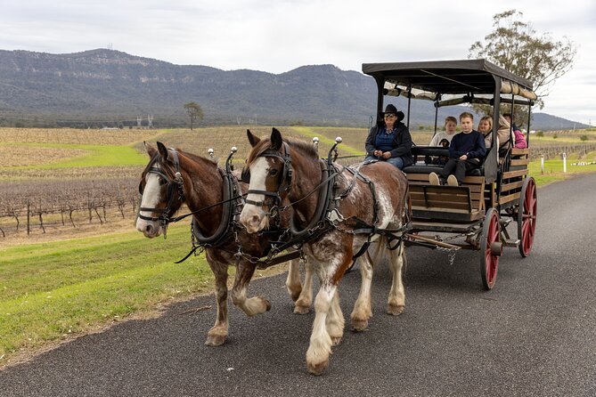 3- Hour Wine and Harvest the Hunter Horse Tour in Pokolbin - Key Things I’d Expect from This Pokolbin Horse and Wine Tour