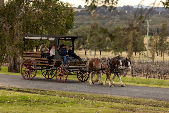 3- Hour Wine and Harvest the Hunter Horse Tour in Pokolbin - Hunter Valley by Horse, Not a Van