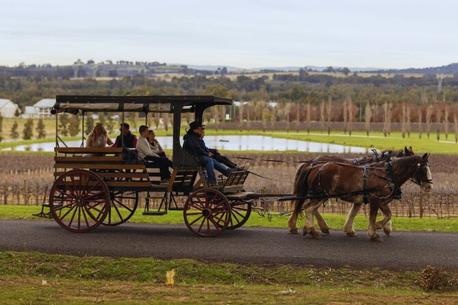 3- Hour Wine and Harvest the Hunter Horse Tour in Pokolbin - Who This Tour Fits Best (and Who Might Prefer Something Else)