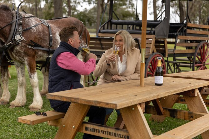 3- Hour Wine and Harvest the Hunter Horse Tour in Pokolbin - The 3-Hour Plan: How the Day Actually Feels