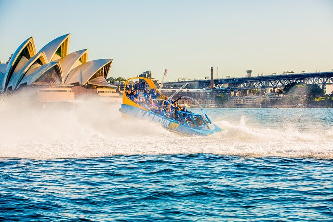 30-Minute Sydney Harbour Jet Boat Ride: Jet Blast - Luna Park and the Harbour Bridge underpass: your last big wow moment