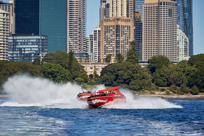 30-Minute Sydney Harbour Jet Boat Thrill Ride - Harbour Bridge and Taronga Zoo Area: Big Scale from an Unusual Angle