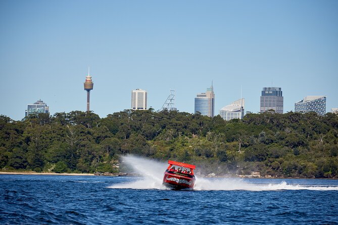 30-Minute Sydney Harbour Jet Boat Thrill Ride - Captain as Guide: Jokes, Facts, and the Human Touch