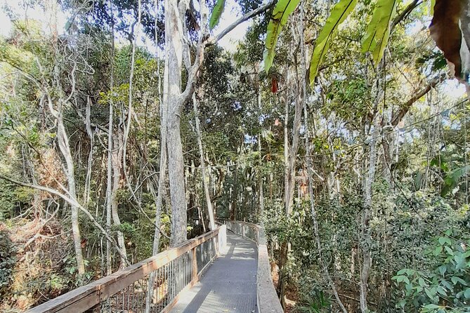 4-Day Private Coastal Escape from Sydney to Mid North Coast - Getting there from Sydney: where you start and how the day flows