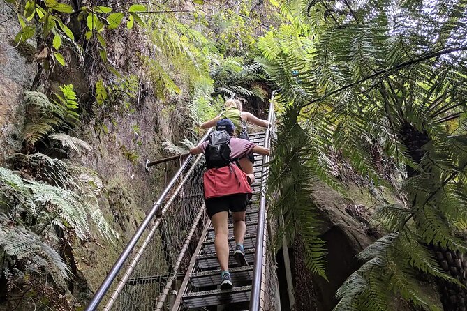 Adventurous Blue Mountains hike up the iconic Three Sisters - Leura Village Time: Graffiti Stops and a Pub Option