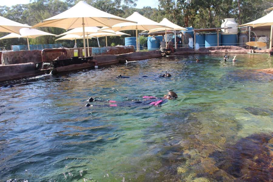 Anna Bay: Irukandji Entry + Coastal Currents Snorkel - Coastal Currents Snorkel in Anna Bay, what you are signing up for