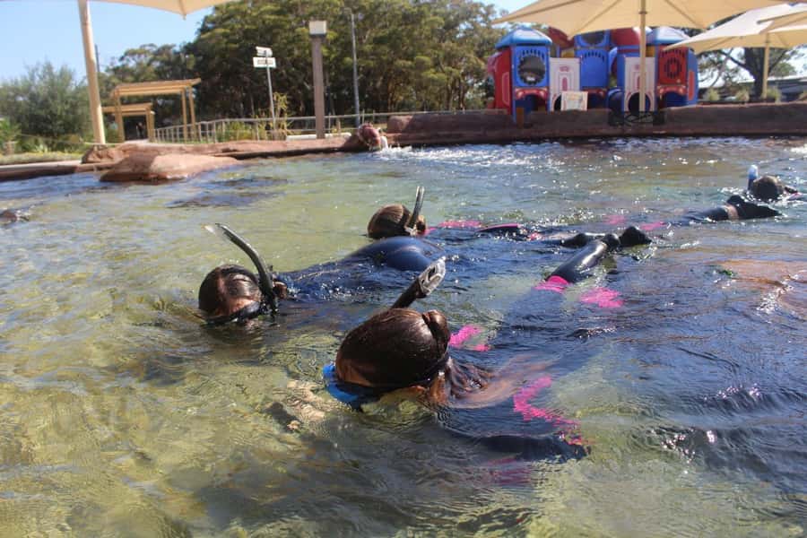 Anna Bay: Irukandji Entry + Coastal Currents Snorkel - Fingill Lagoon shallows and lagoon reefs, where the animals come close