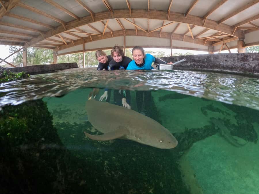 Anna Bay: Irukandji Entry Pass with Reef Shark Encounter - Anna Bay Check-In: Timing, Private Group Feel, and What You Do First