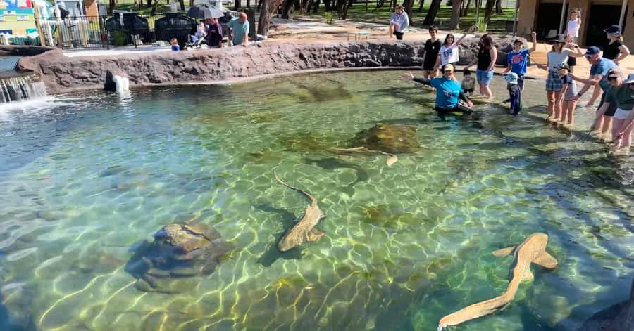 Anna Bay: Irukandji Entry Pass with Shallows Encounter - Safety Rules That Change the Mood, From Bare Feet to Wading
