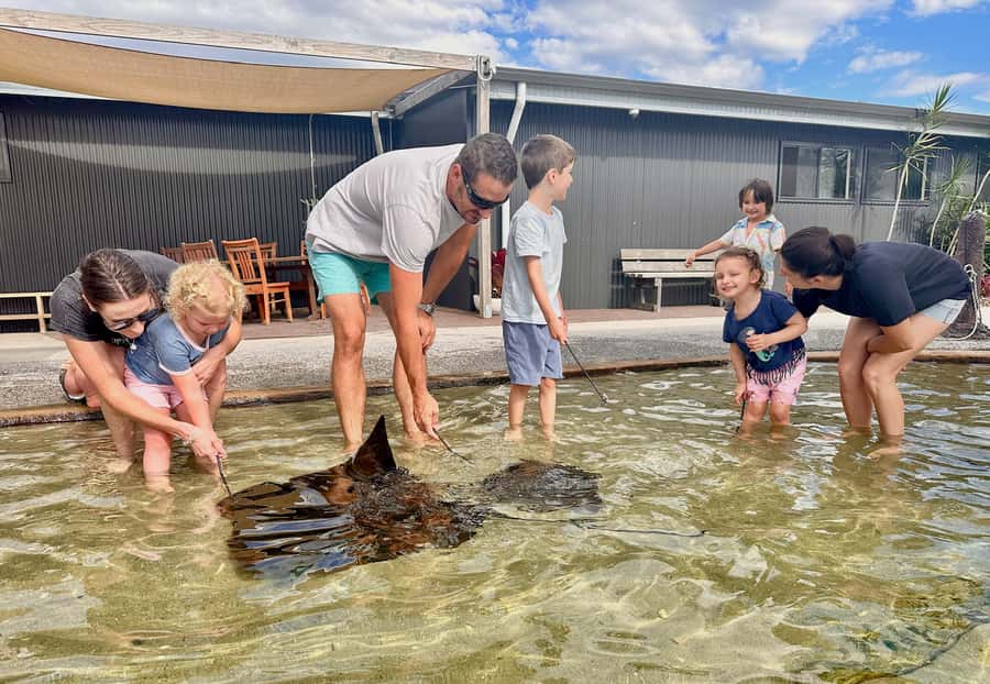 Anna Bay: Irukandji Entry Pass with Shallows Encounter - What the Irukandji Entry Pass Really Includes for $29