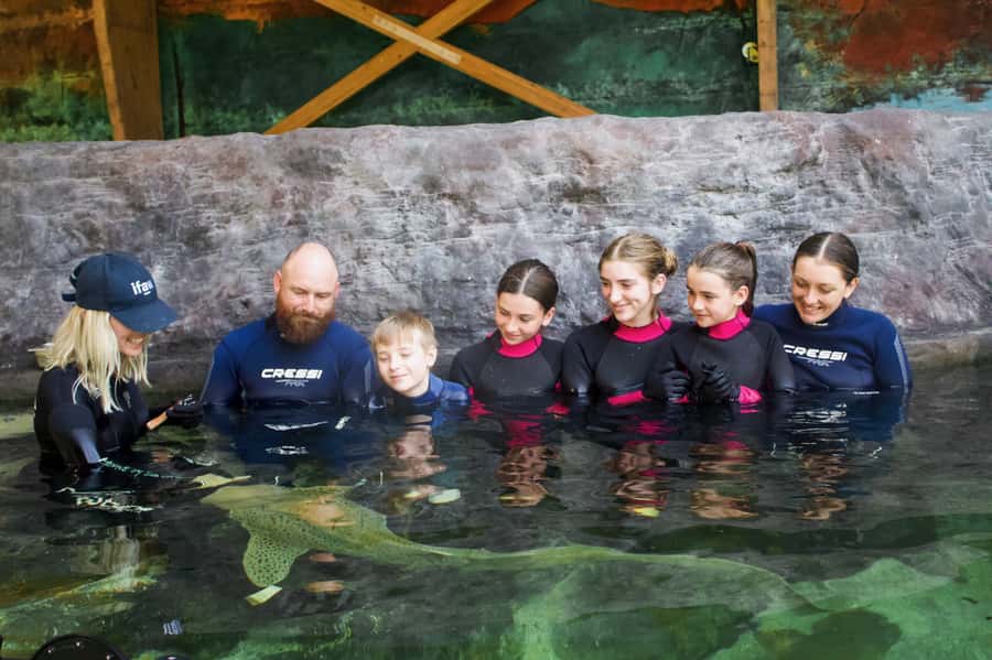 Anna Bay: Irukandji Entry Pass with Zebra Shark Encounter - Key things to know before you go