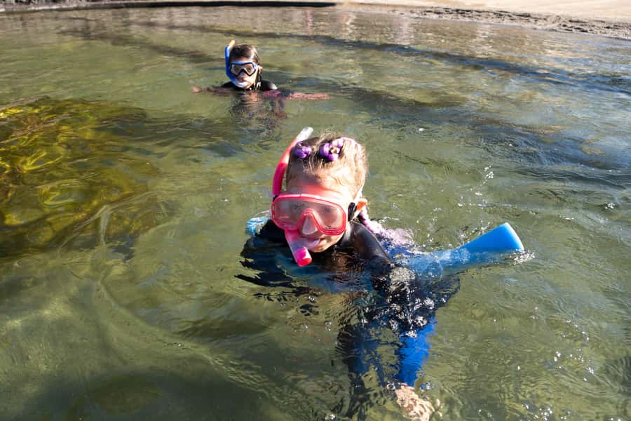 Anna Bay: Irukandji Entry with Zebra Shark Snorkel - Quick key points to know before you go