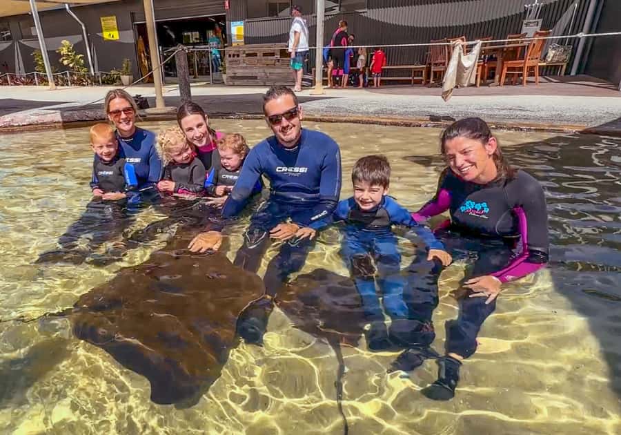 Anna Bay: Irukandji Entry with Zebra Shark Snorkel - The Heated Tropical Lagoon Snorkel, 20 to 30 Minutes
