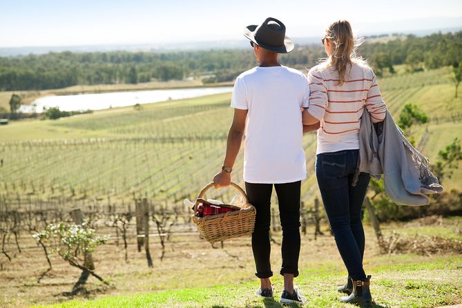 Audrey Wilkinson Vineyard: Picnic with Wine Masterclass Tasting - Audrey Wilkinson Vineyard museum, self-guided, and actually useful