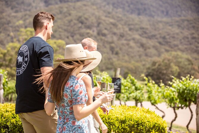 Audrey Wilkinson Vineyard: Picnic with Wine Masterclass Tasting - Practical tips before you go to Pokolbin