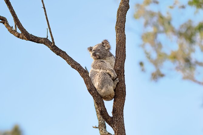 Australian Surfing and Camping Tours - Practical tips for your mornings, your surf day, and your energy