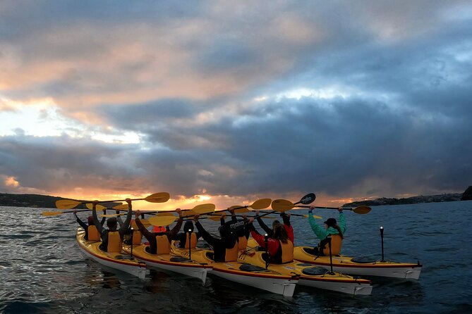 Beautiful Middle Harbour Sunriser / Guided Kayaking Private Tour - Price and value: $319.57 per group for a focused 2.5 hours