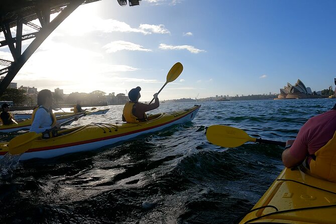 Beautiful Sydney Harbour Breakfast Kayaking Tour - Who should book this and who should skip it