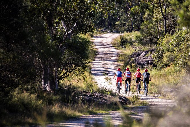 Blue Labyrinth PRIVATE Tour: Sydney Blue Mountains by E-Bike - Your Guide and the Small Details That Make It Feel Private