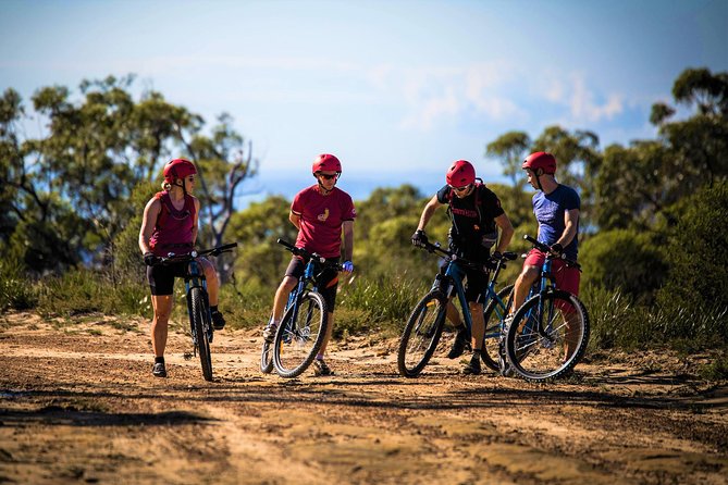 Blue Labyrinth PRIVATE Tour: Sydney Blue Mountains by E-Bike - Private Tour With Bike Insurance, So You Can Focus on the Trail