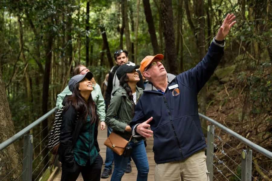 Blue Mountain: Small-Group Tour with Lunch & Scenic World - Scenic World with guided rainforest time and early access