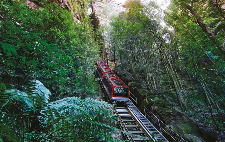 Blue Mountain: Small-Group Tour with Lunch & Scenic World - Lunch in the Blue Mountains, plus how to plan around what you want to eat