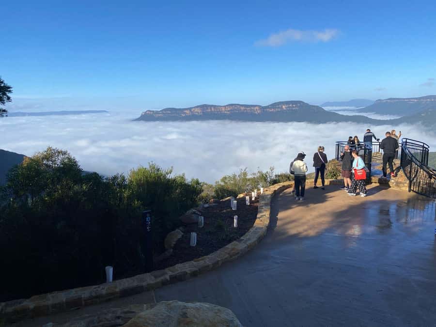 Blue Mountain: Small-Group Tour with Lunch & Scenic World - Featherdale or Sydney Zoo, kangaroos, and the koala factor