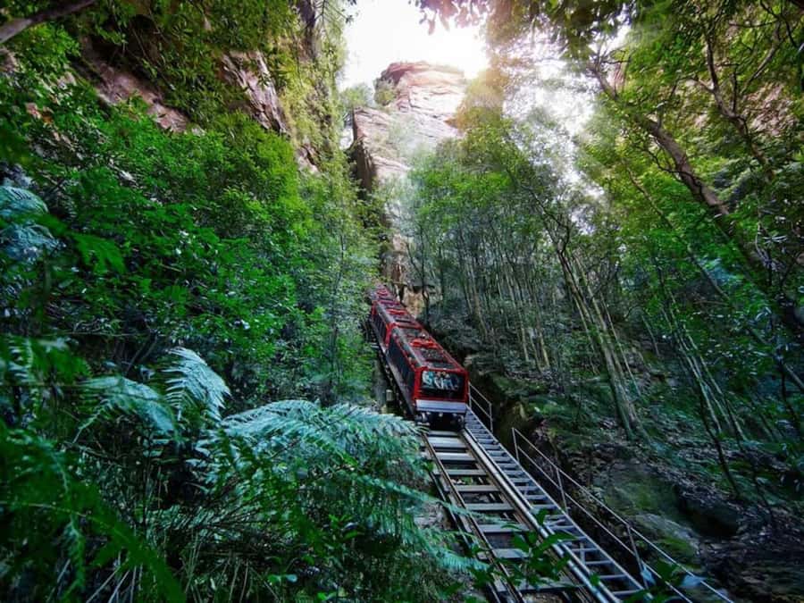 Blue Mountain Tour + Hop-on-Hop-off Big Bus Discover Ticket - Key Highlights You’ll Actually Care About