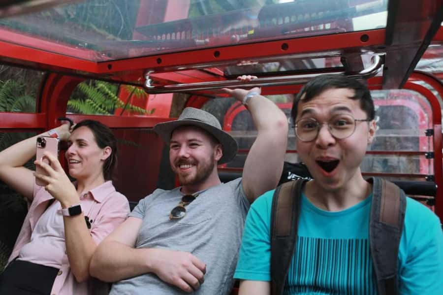 Blue Mountain Tour + Hop-on-Hop-off Big Bus Discover Ticket - Why This Blue Mountains Plus Big Bus Ticket Works