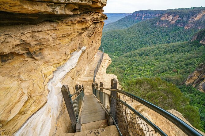 Blue Mountain Tour with Hop on and Hop Off Bus - Starting at Sydney Central: The Coach Rhythm and What to Expect