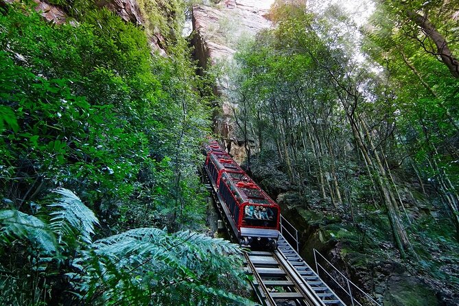 Blue Mountain Tour with Hop on and Hop Off Bus - Big Bus Hop-On Hop-Off in Sydney: Fill the Gaps, Skip the Stress