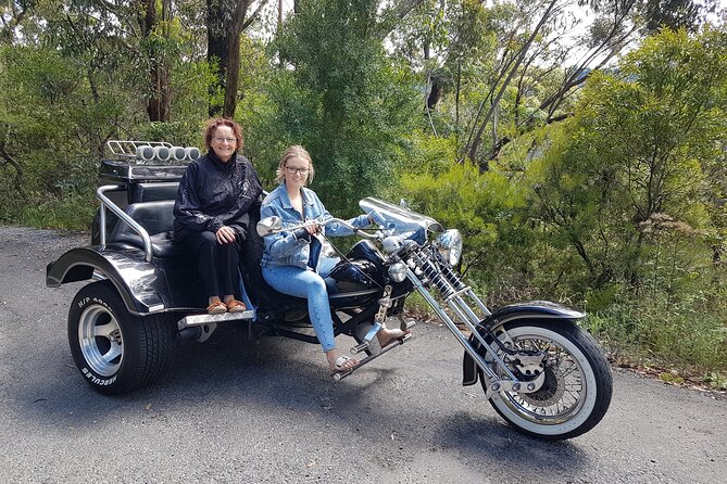 Blue Mountains 1-Hour Trike Tour of Three Sisters - Timing tips: morning vs afternoon departures in one of Australia’s changeable spots