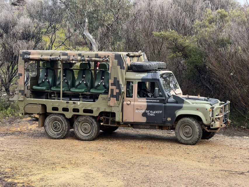 Blue Mountains 3 Hour Army Truck Adventures - Weather, Wildlife, and Expectations That Keep You Happy