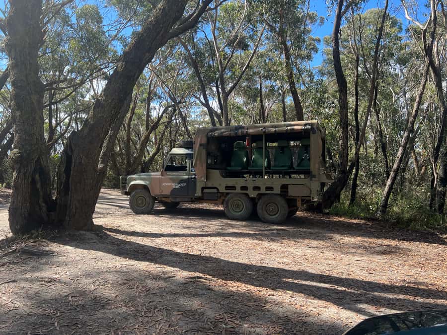 Blue Mountains 90 Minute Army Truck Adventures - Key Highlights Worth Showing Up For