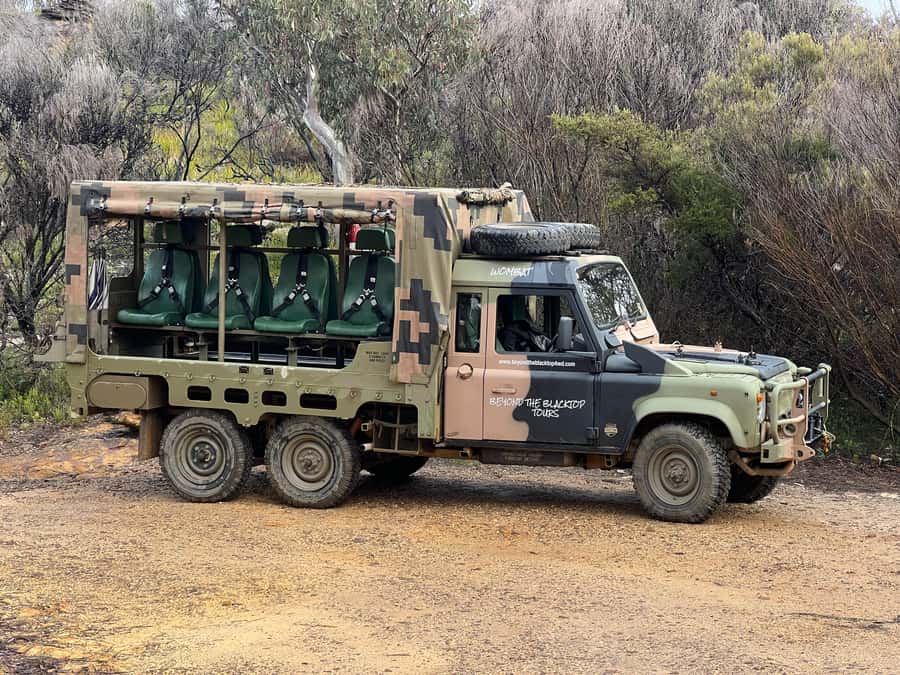 Blue Mountains 90 Minute Army Truck Adventures - 90 Minutes to See Katoomba and the Cliff Line Up Close