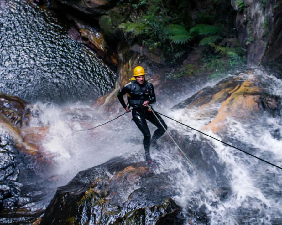 Blue Mountains: Abseiling and Canyoning Experience - Morning abseiling: 5 metres to 30 metres with cliff-top views