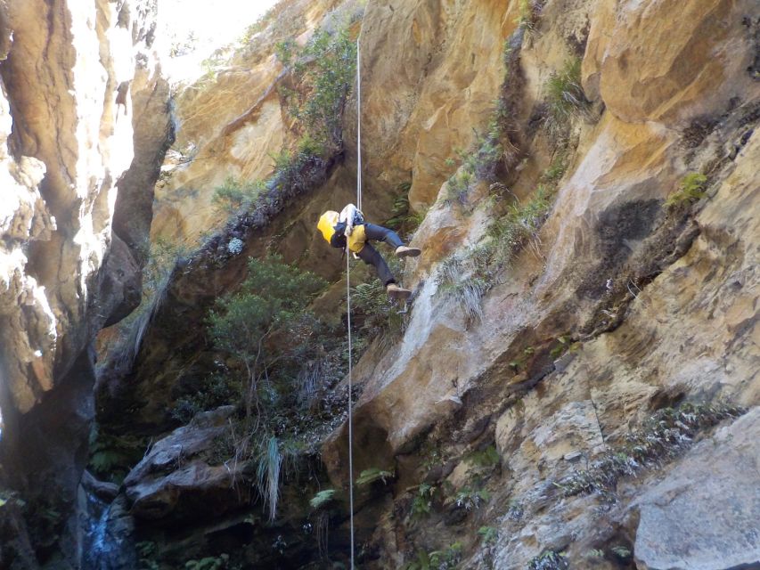 Blue Mountains: Abseiling and Canyoning Experience - Price and value: $244 for gear, transport, park fees, lunch, and a waterproof camera