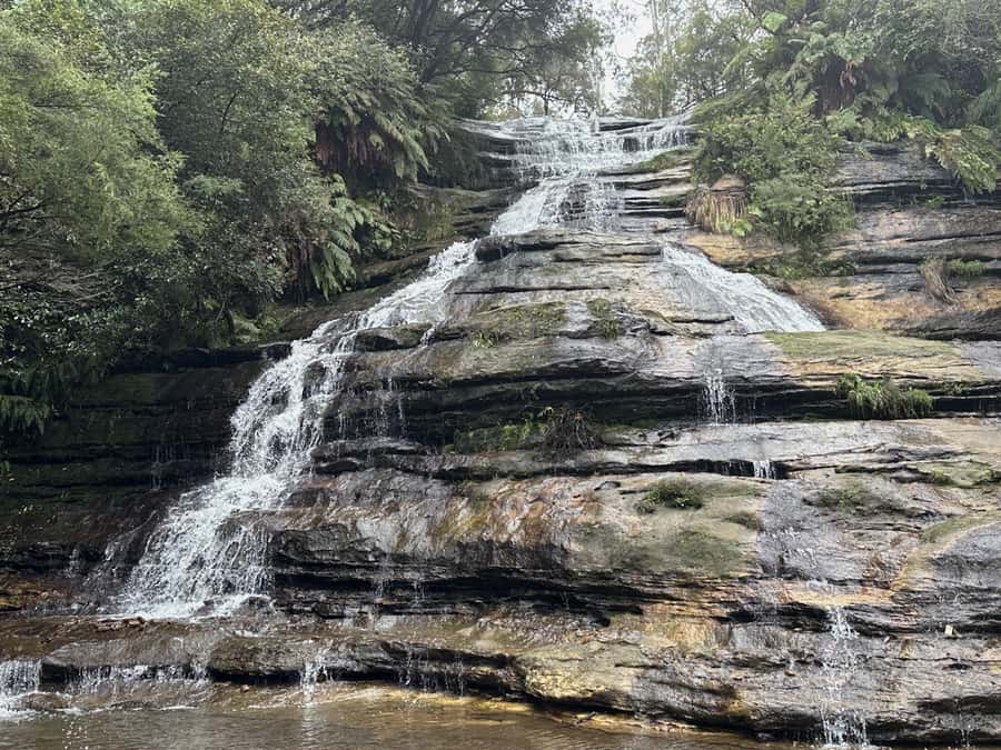 Blue Mountains Adventure: Scenic World, Zoo & Koala Photo - Katoomba Cascades waterfalls and the boardwalk rhythm