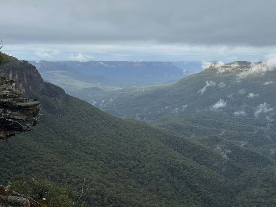 Blue Mountains Adventure: Scenic World, Zoo & Koala Photo - The ferry ride back to Sydney Harbour: the calm ending